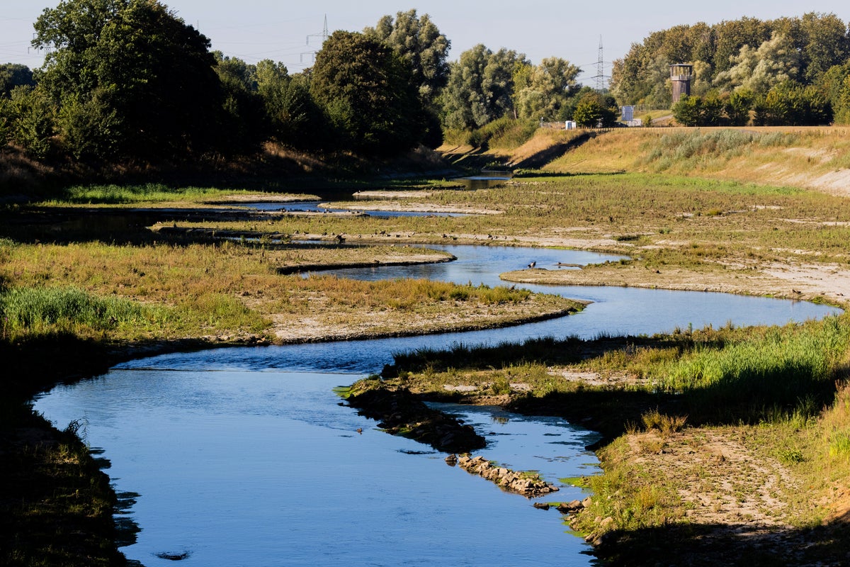 Germay Rivers Germany celebrates revival of river once called 'open sewer' | The ...
