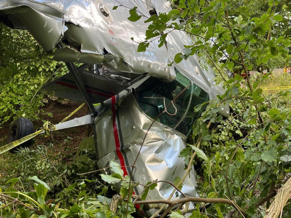 A light aircraft crashed into a tree in the hamlet of Southend near Henley-on-Thames