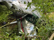 Two passengers ‘miraculously’ survive after light aircraft crashes into tree