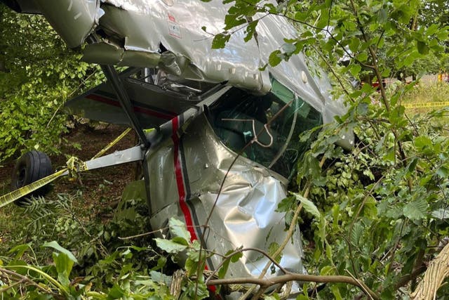 <p>A light aircraft crashed into a tree in the hamlet of Southend near Henley-on-Thames</p>