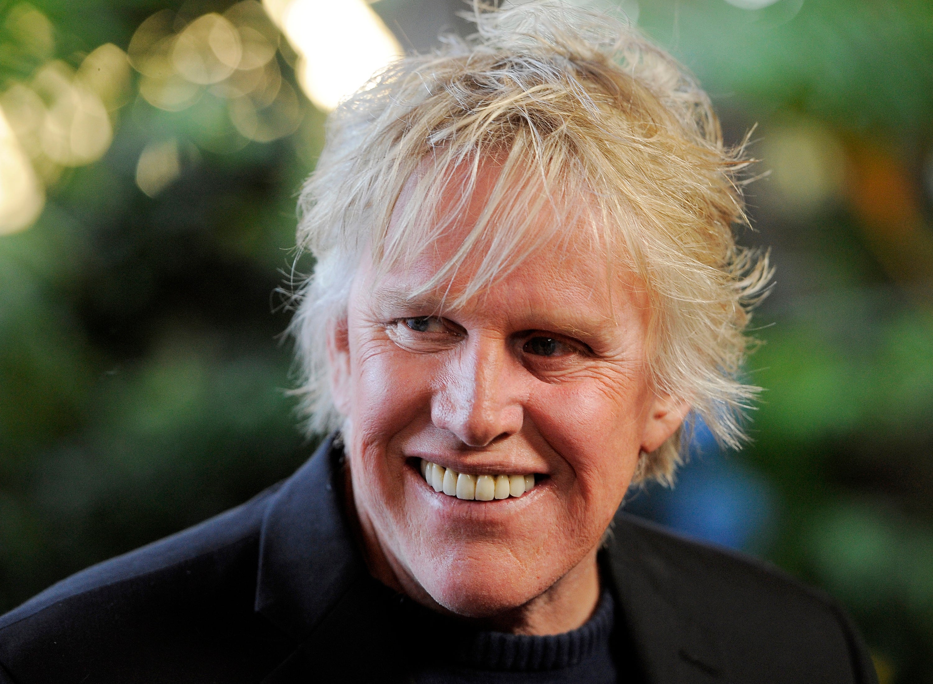 Sexual Misconduct-Gary Busey