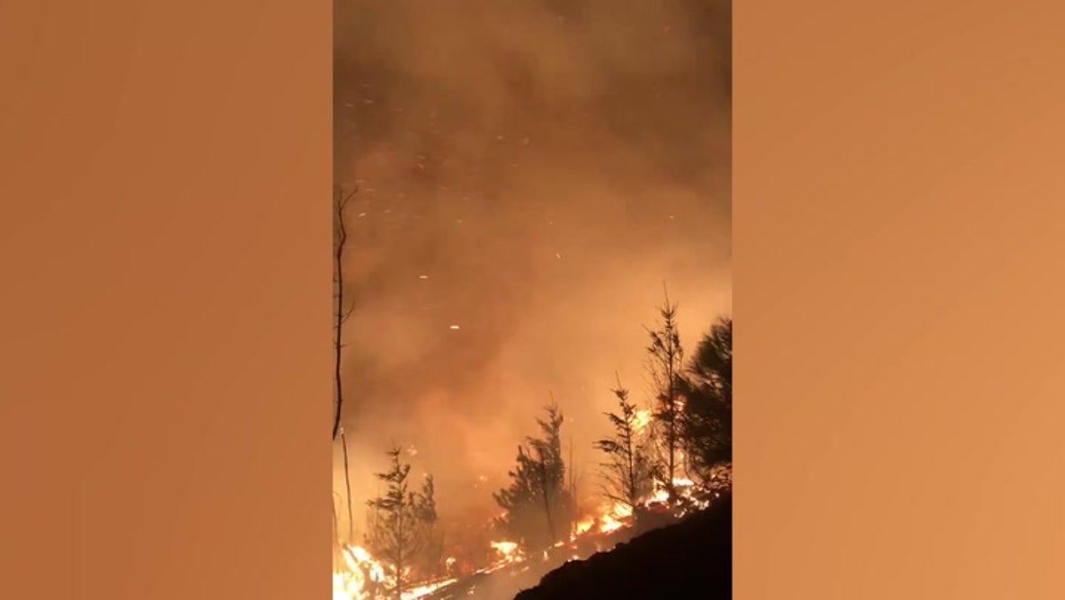 Swirling flames engulf Oregon forest as lightning-sparked wildfire rages
