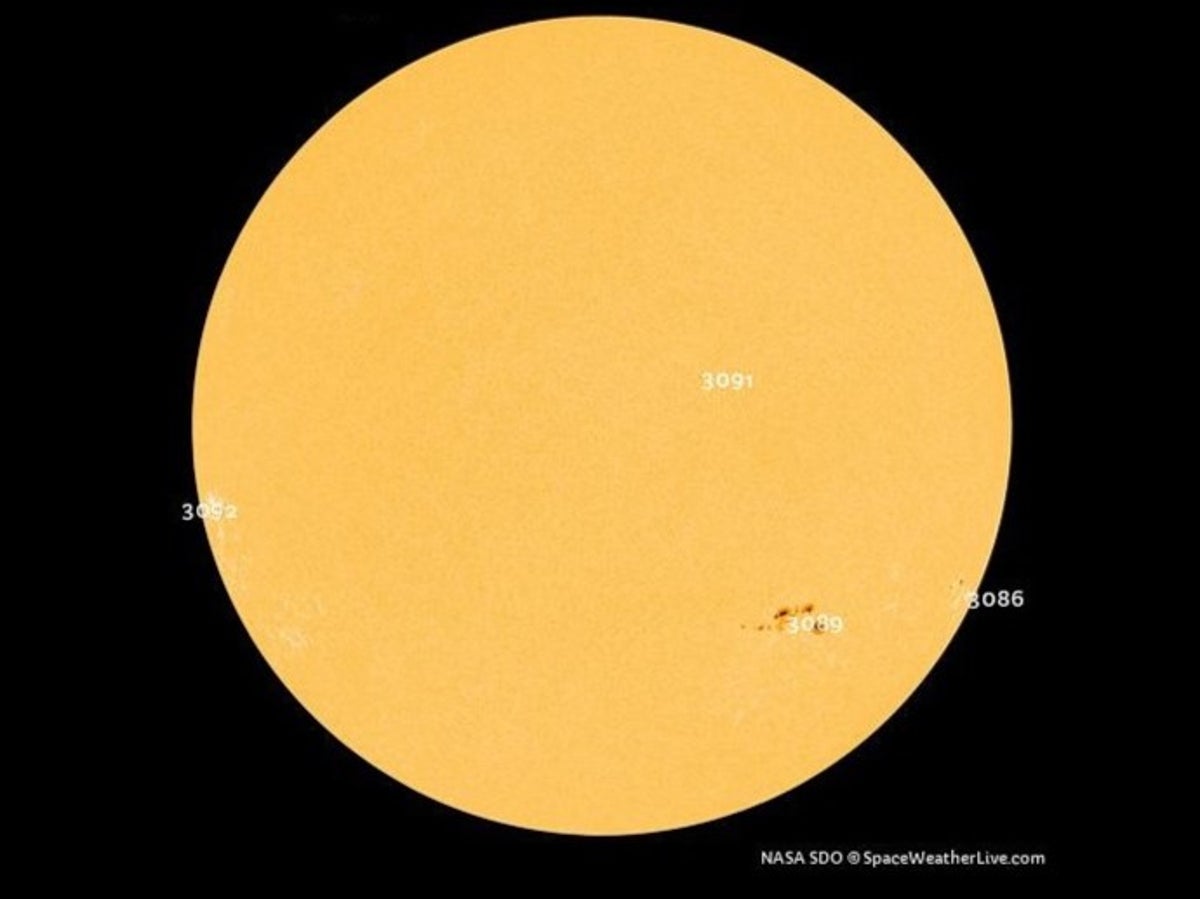 How to watch giant sunspot ‘four times the size of Earth’ crossing the Sun