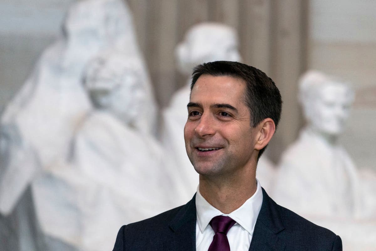 Critics ridicule Tom Cotton over complaints about Sarah Palin results – The Independent