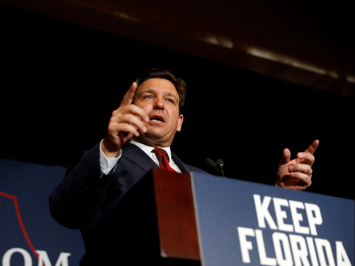 Professor and student team up in lawsuit to block DeSantis&rsquo; &lsquo;chilling&rsquo; anti-&lsquo;woke&rsquo; act