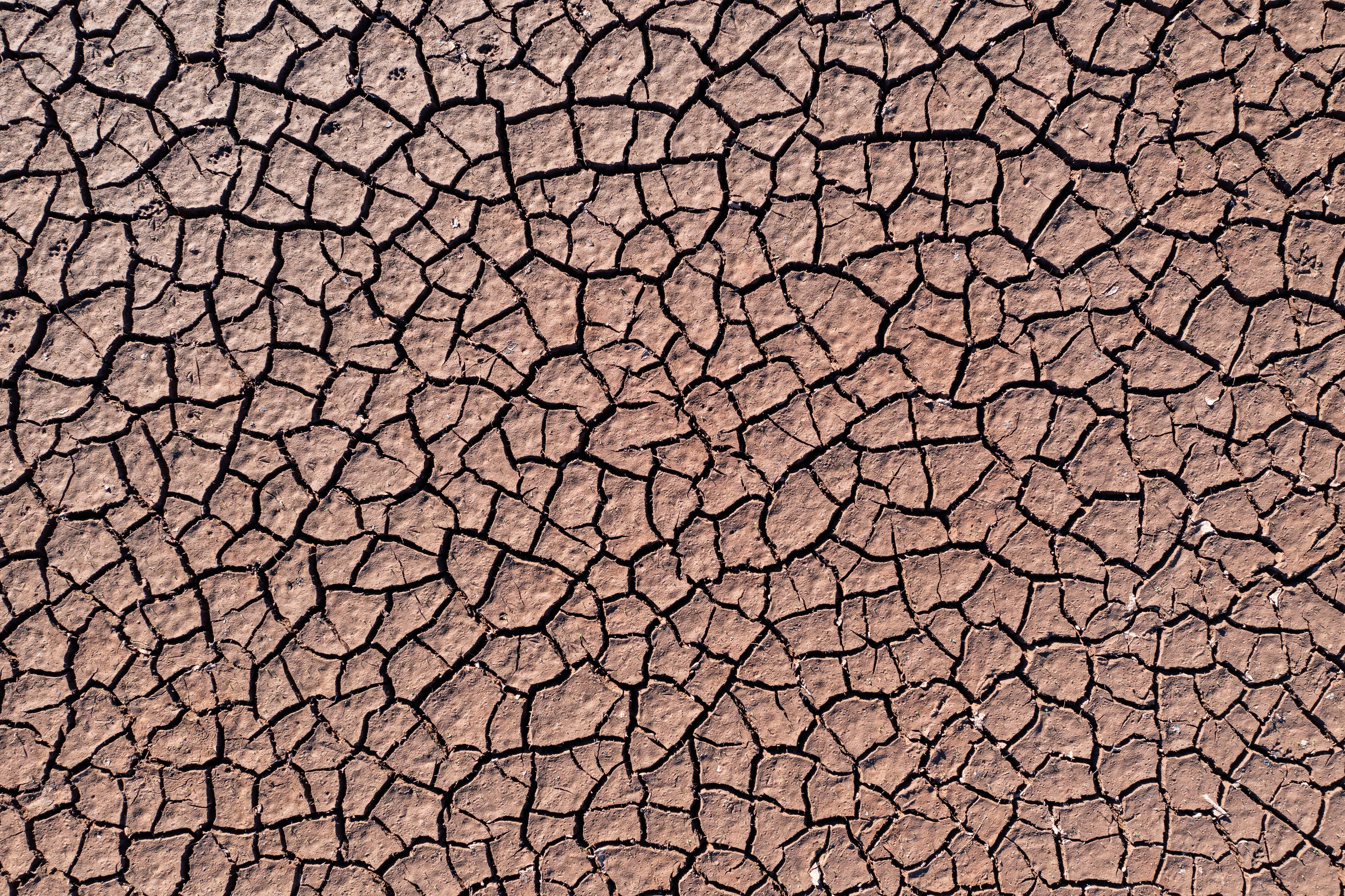 Dried and cracked mud at Pontsticill Reservoir in south Wales underscored extent of heat