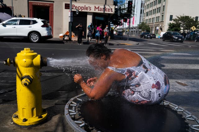 <p>Stephanie Williams, 60, cools off with water from a hydrant in the Skid Row area of Los Angeles during the current heatwave </p>