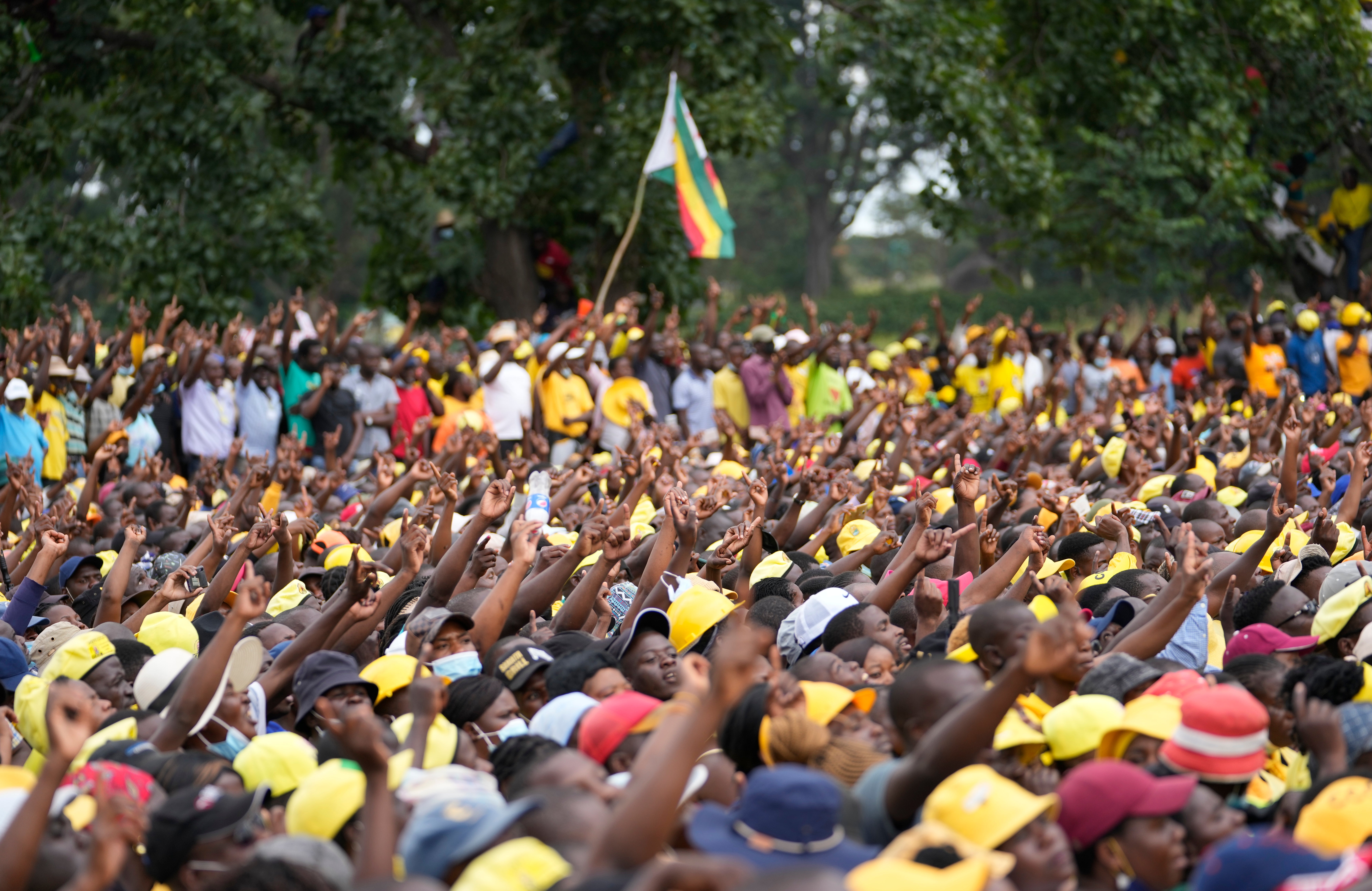 Zimbabwe Opposition Harassment
