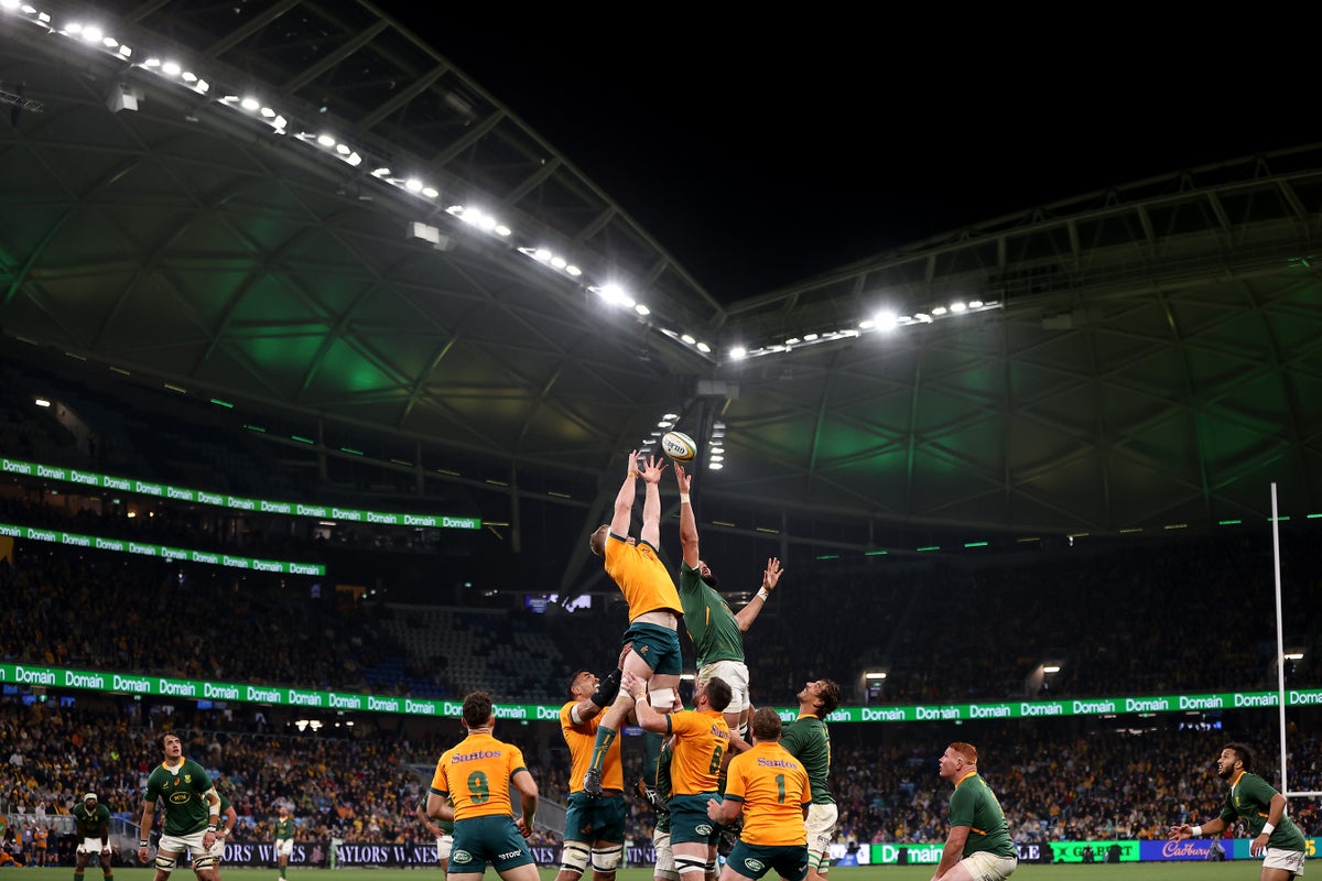 Australia vs South Africa LIVE: Rugby Championship score and updates as Wallabies face Springboks