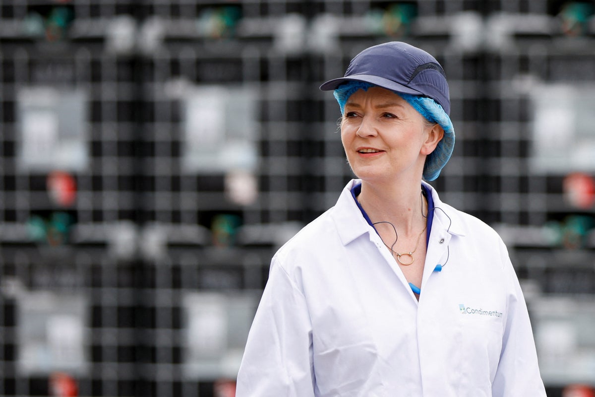 Liz Truss urged to ‘come clean’ over plans for workers’ rights