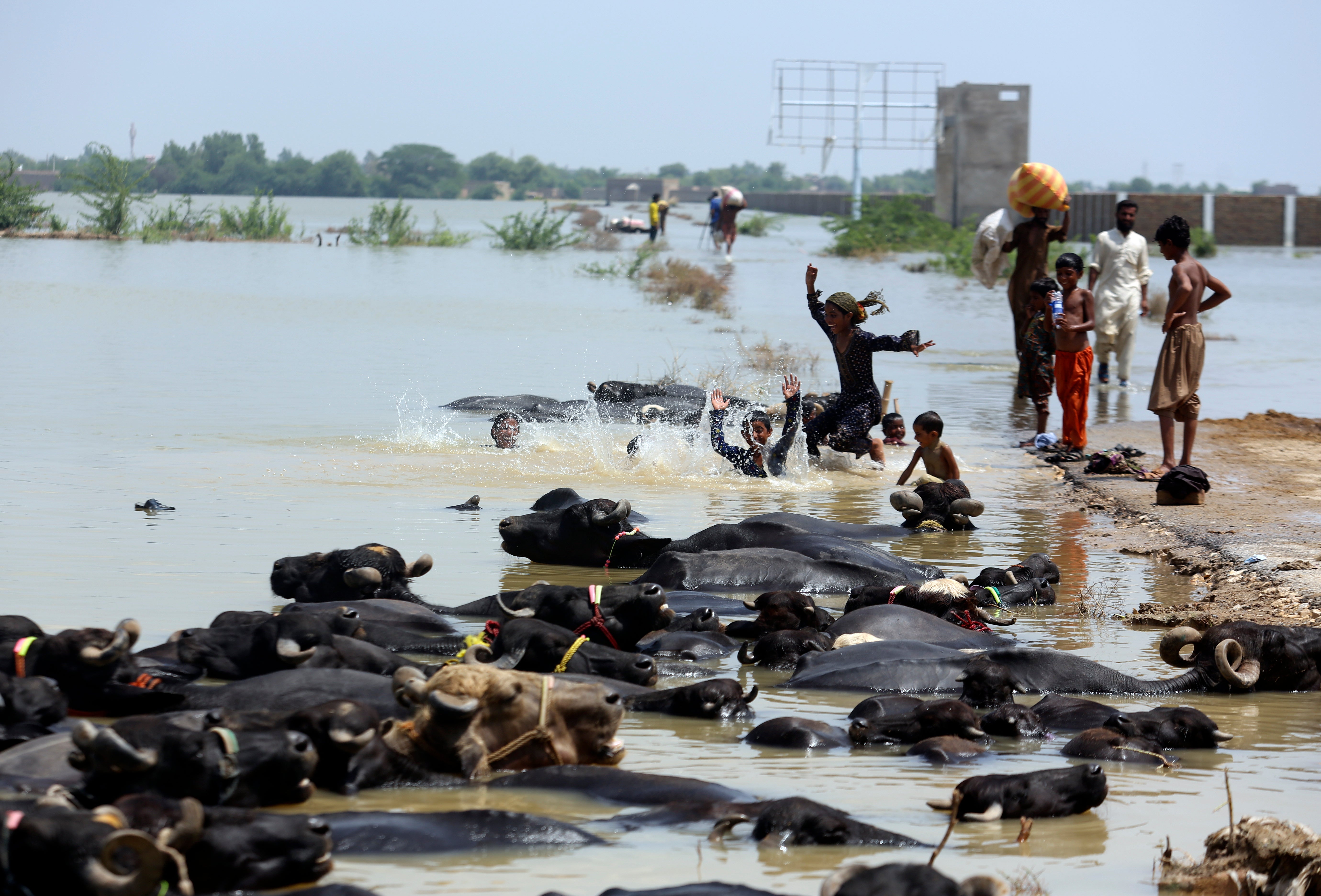 Pakistan Floods