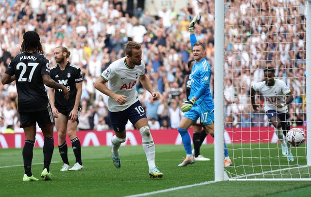 Harry Kane celebrates making it 2-0 to Spurs against Fulham (Ian Walton/AP/PA)