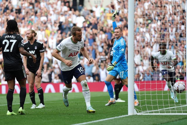Harry Kane celebrates making it 2-0 to Spurs against Fulham (Ian Walton/AP/PA)