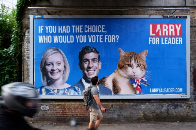 Larry the cat has announced his bid to become prime minister (Don’t Panic/Build Hollywood)
