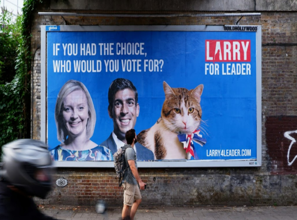 <p>Larry could prove more popular than either of his human counterparts </p>