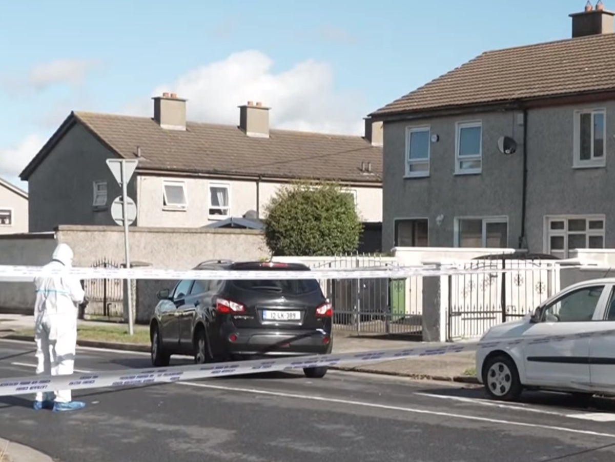 Teenager and her younger twin siblings killed in ‘violent and traumatic incident’ in Dublin