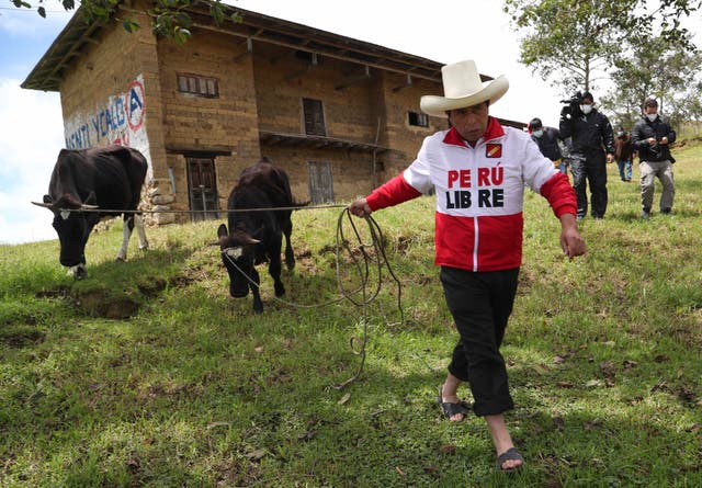 Peru President