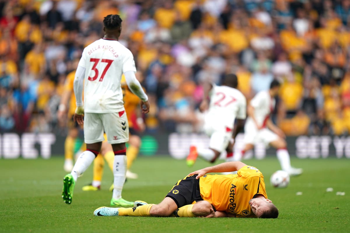 Wolves confirm Sasa Kalajdzic damaged cruciate ligament injury on his debut