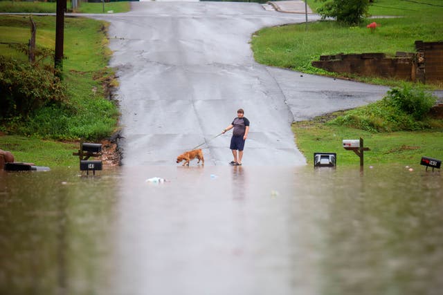 <p>A young man walks his dog along a flooded street on Sunday, September 4, 2022, in Summerville, Georgia after intense flash flooding </p>