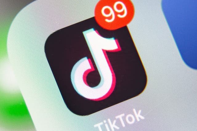 <p>Security researchers warn TikTok user data appears to have been listed on a hacking forum on 3 September, 2022</p>