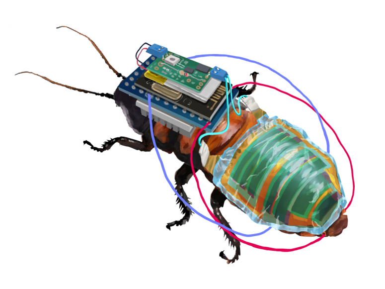 Cyborg cockroaches equipped with a tiny wireless control module that is powered by a rechargeable battery attached to a solar cell