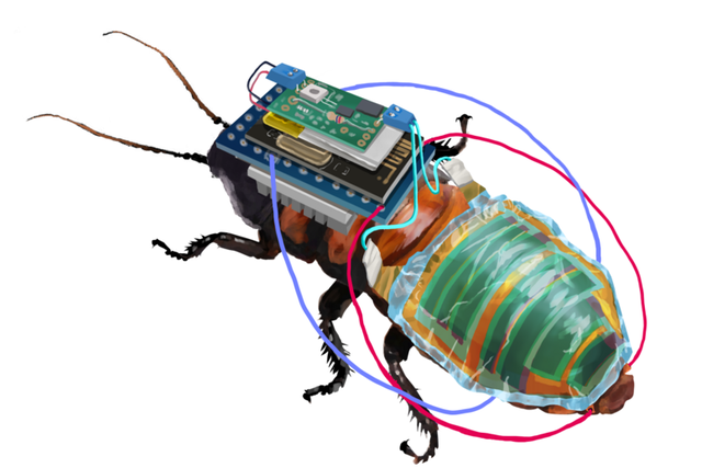 <p>Cyborg cockroaches equipped with a tiny wireless control module that is powered by a rechargeable battery attached to a solar cell</p>