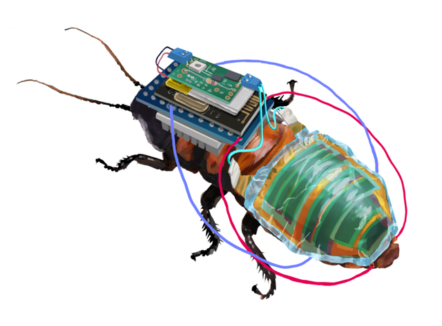 New Cockroach Machine Scientists discover how to control cockroaches remotely with solar ...