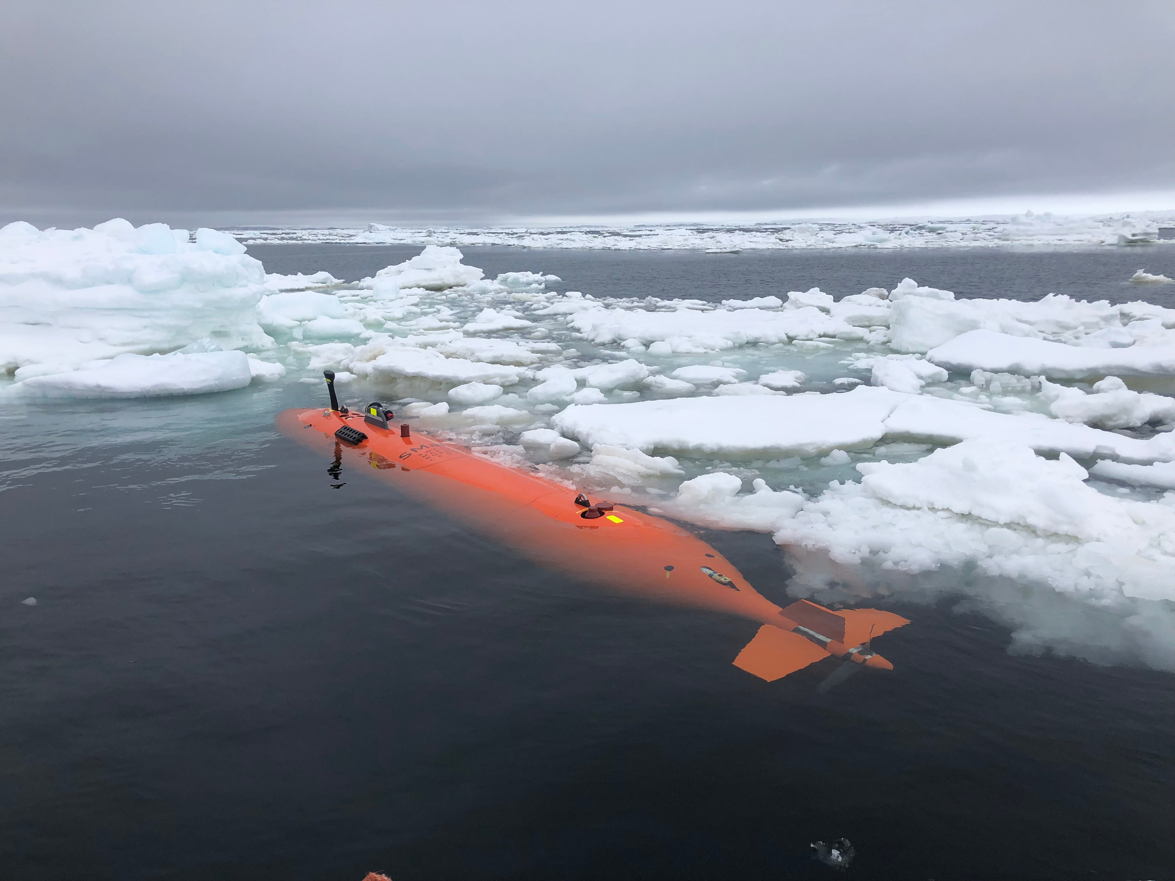Seafloor images shed new light on Thwaites Glacier retreat (Anna Wahlin/University of Gothenburg)