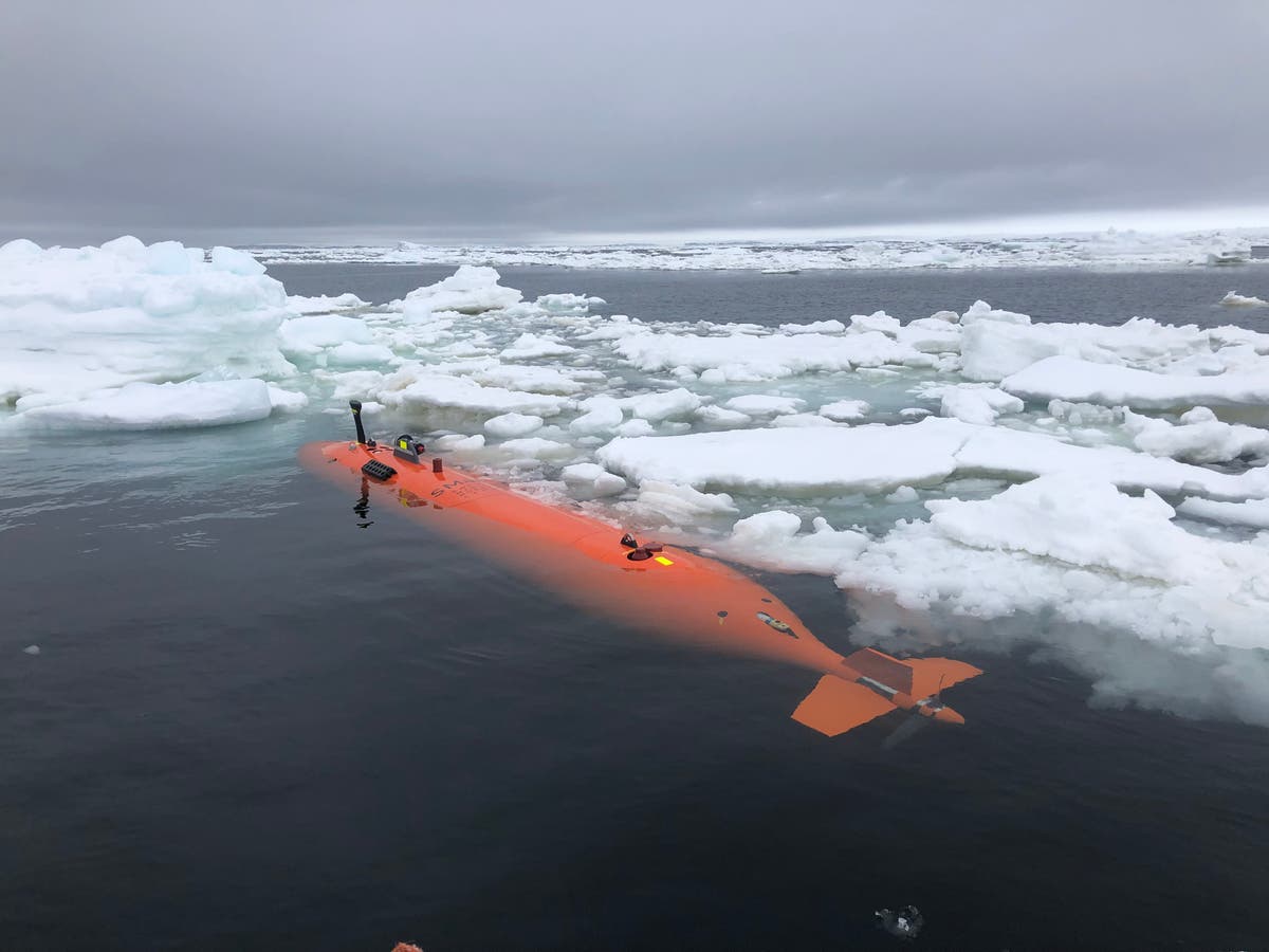 Seafloor images shed new light on Thwaites Glacier retreat