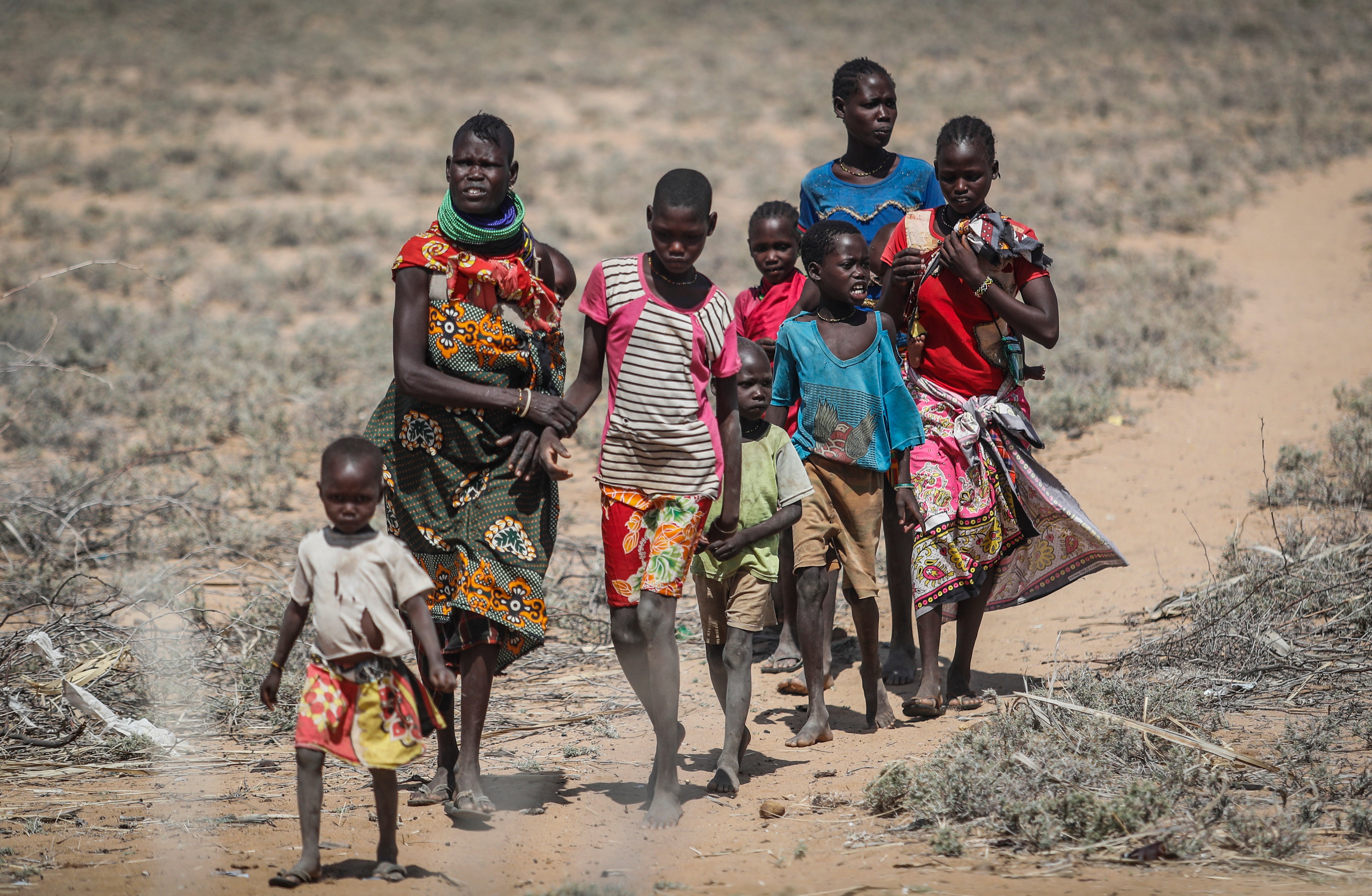 <p>Traditional heat-adaption solutions will not be enough to save lives, authors warn </p>