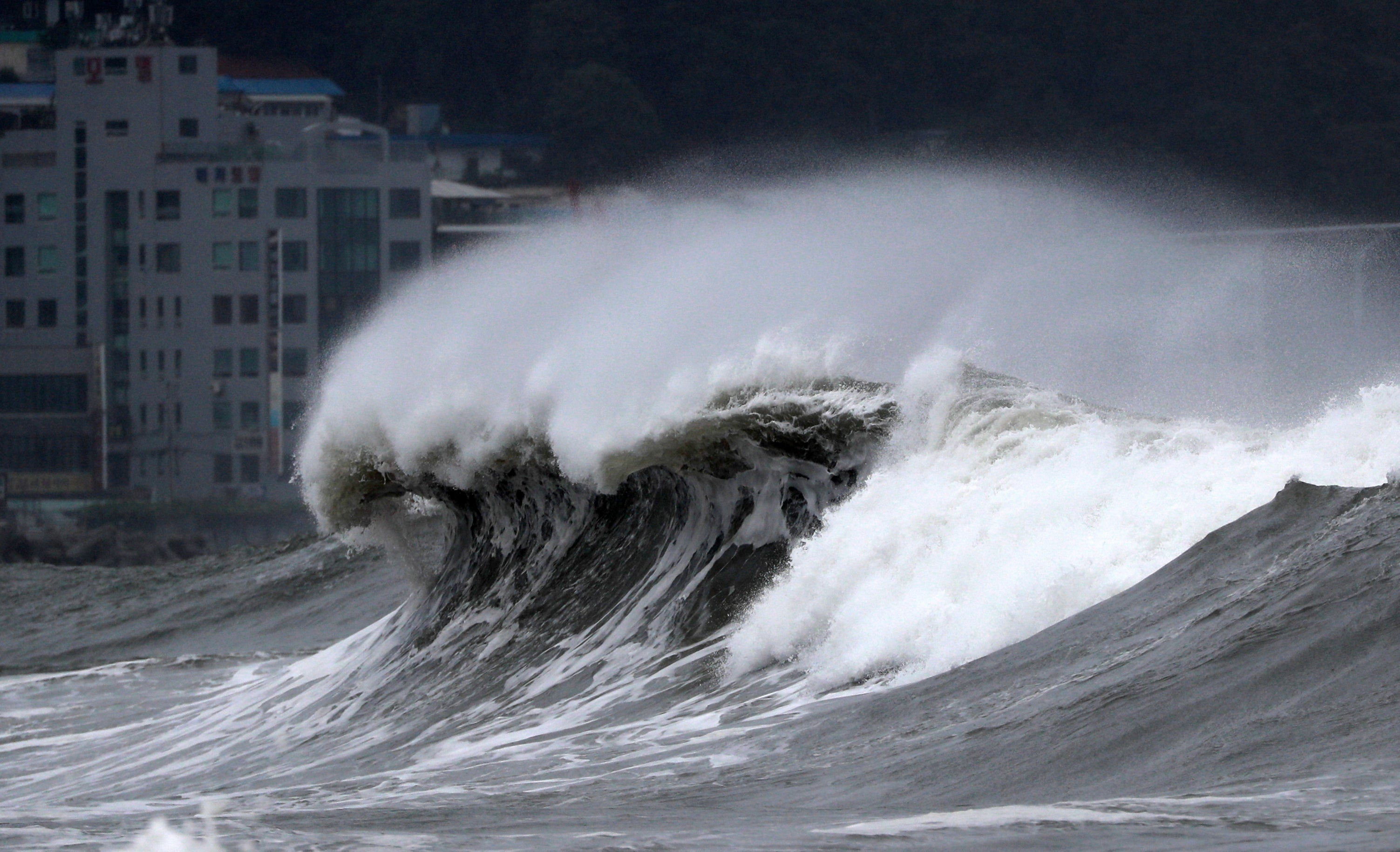 Typhoon Leaves 20 000 Homes Without Power In South Korea The Independent   South Korea Asia Typhoon 34377 