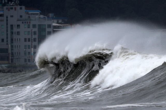 South Korea Asia Typhoon