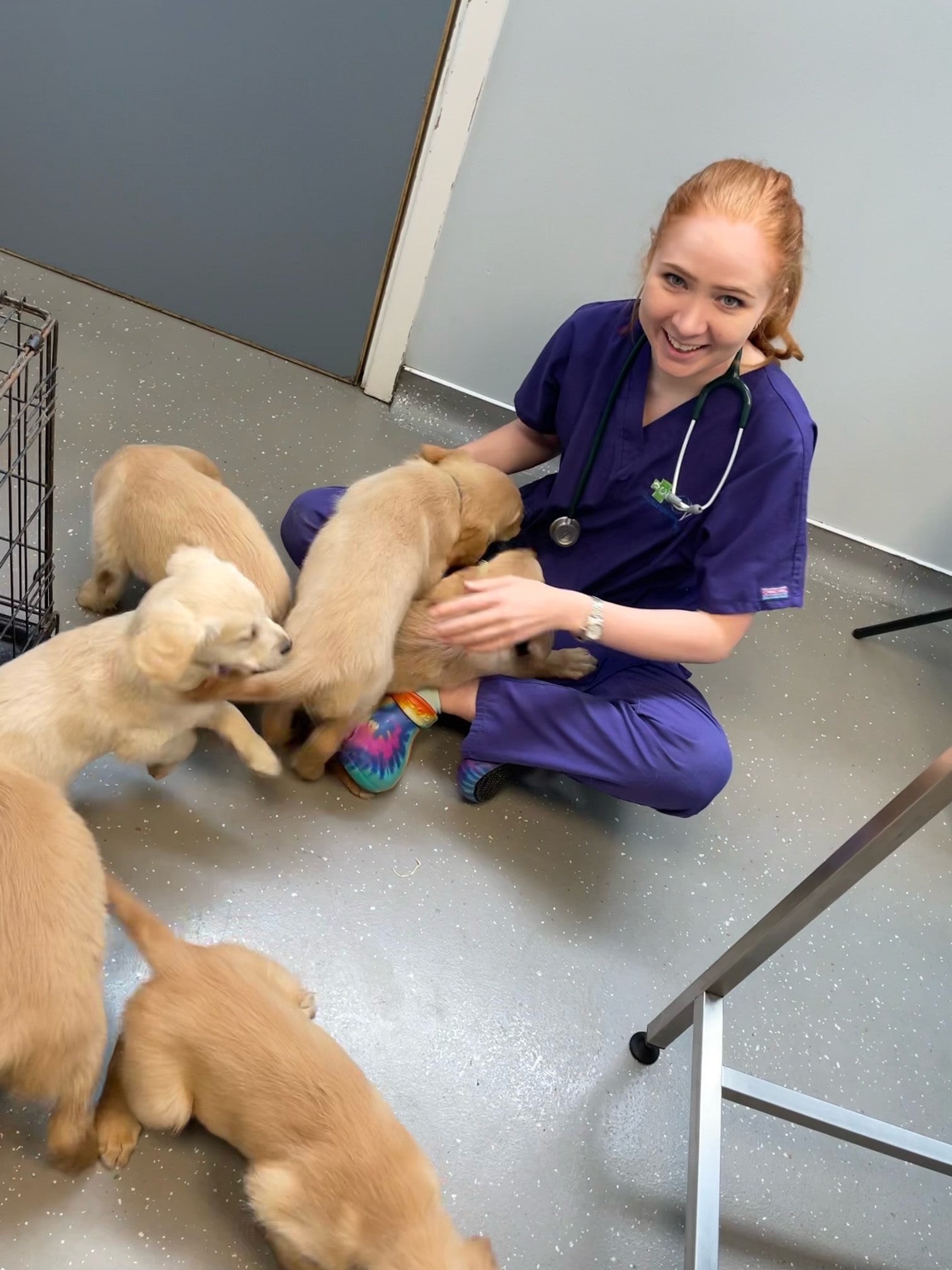 Emma now works as a small animal vet. (Collect/PA Real Life)