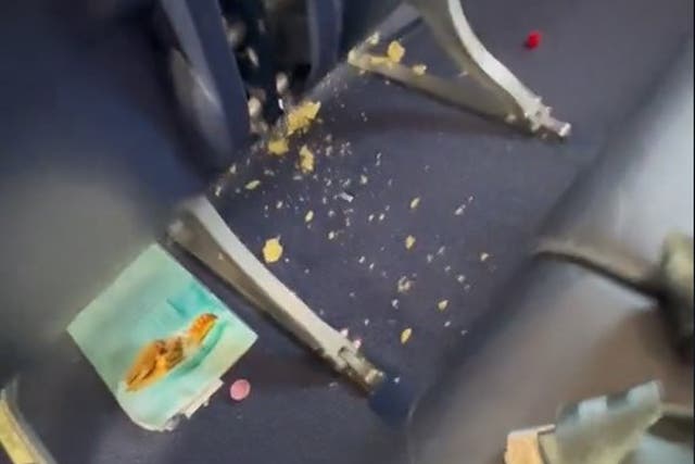 <p>The Ryanair passengers captured the mess as they boarded</p>