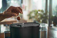 ‘Revolutionary’ seaweed coffee balls could save thousands of tons of plastic waste