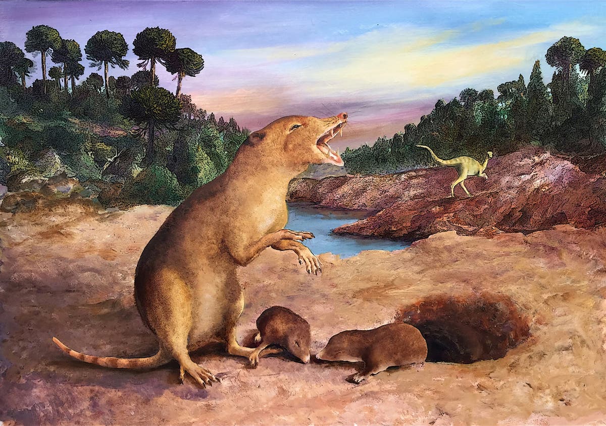 Earliest known mammal identified using fossil tooth records