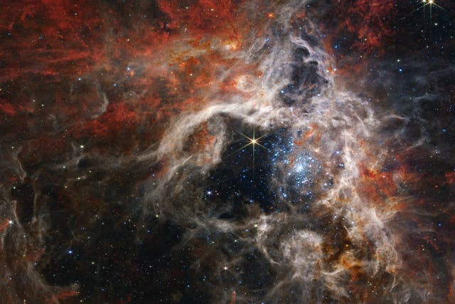 <p>La Nebulosa de la Tarántula vista por la cámara del infrarrojo cercano del telescopio espacial James Webb (Nircam)</p>