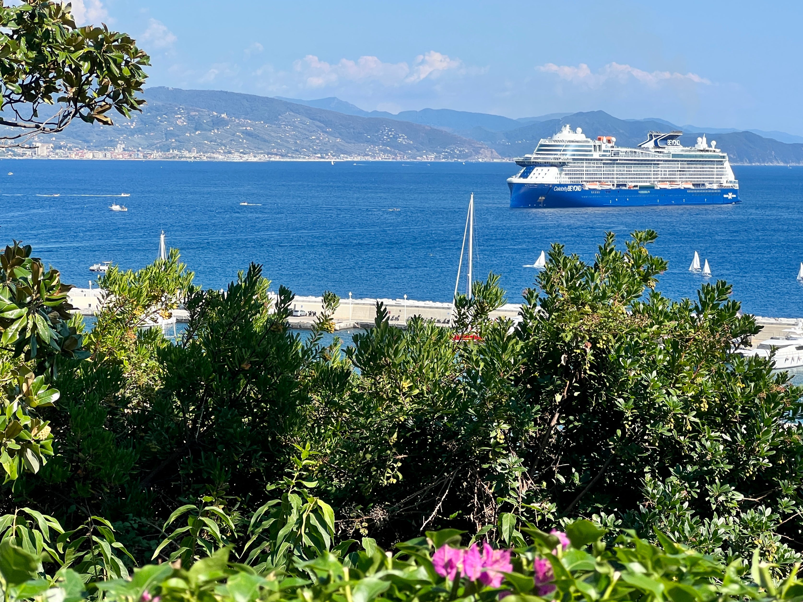 Welcome sight? A cruise ship off the coast of Italy