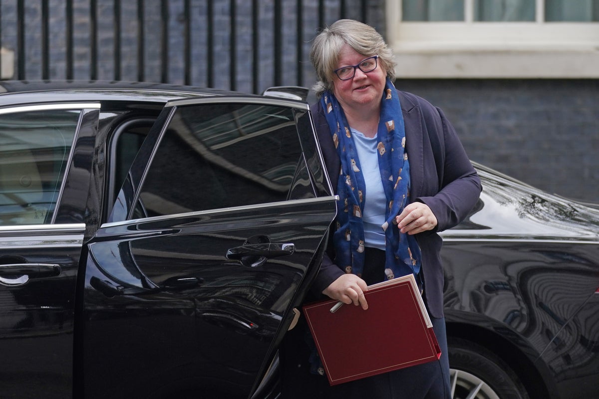 Therese Coffey inherits NHS ‘in crisis’