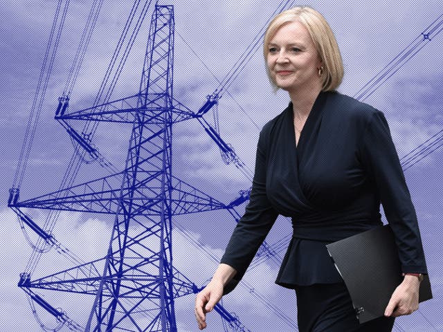 <p>‘We will provide the support to cover their October bills and that support will be backdated as required,’ said a spokesperson for Liz Truss </p>