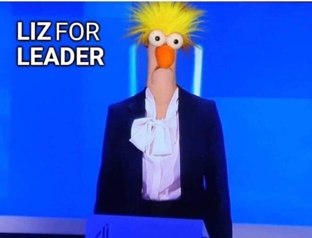 Johnny Mercer: Wife of sacked minister calls Liz Truss an &lsquo;imbecile&rsquo; in brutal Twitter outburst