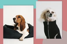 Arket has launched a dog range inspired by its Scandi-style clothes collections