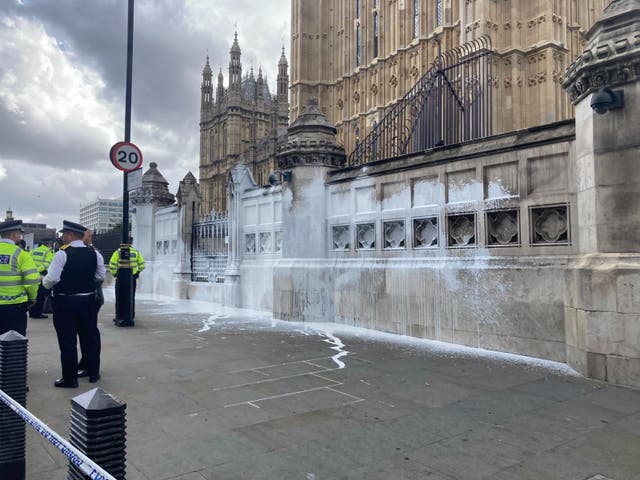 <p>Animal Rebellion protesters threw white paint over the Houses of Parliament</p>