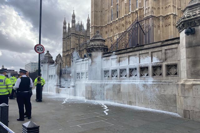 <p>Animal Rebellion protesters threw white paint over the Houses of Parliament</p>