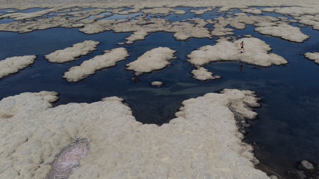 <p>Reef-like structures called microbialites, exposed by receding waters at the Great Salt Lake Tuesday, Sept. 6, 2022, near Salt Lake City</p>