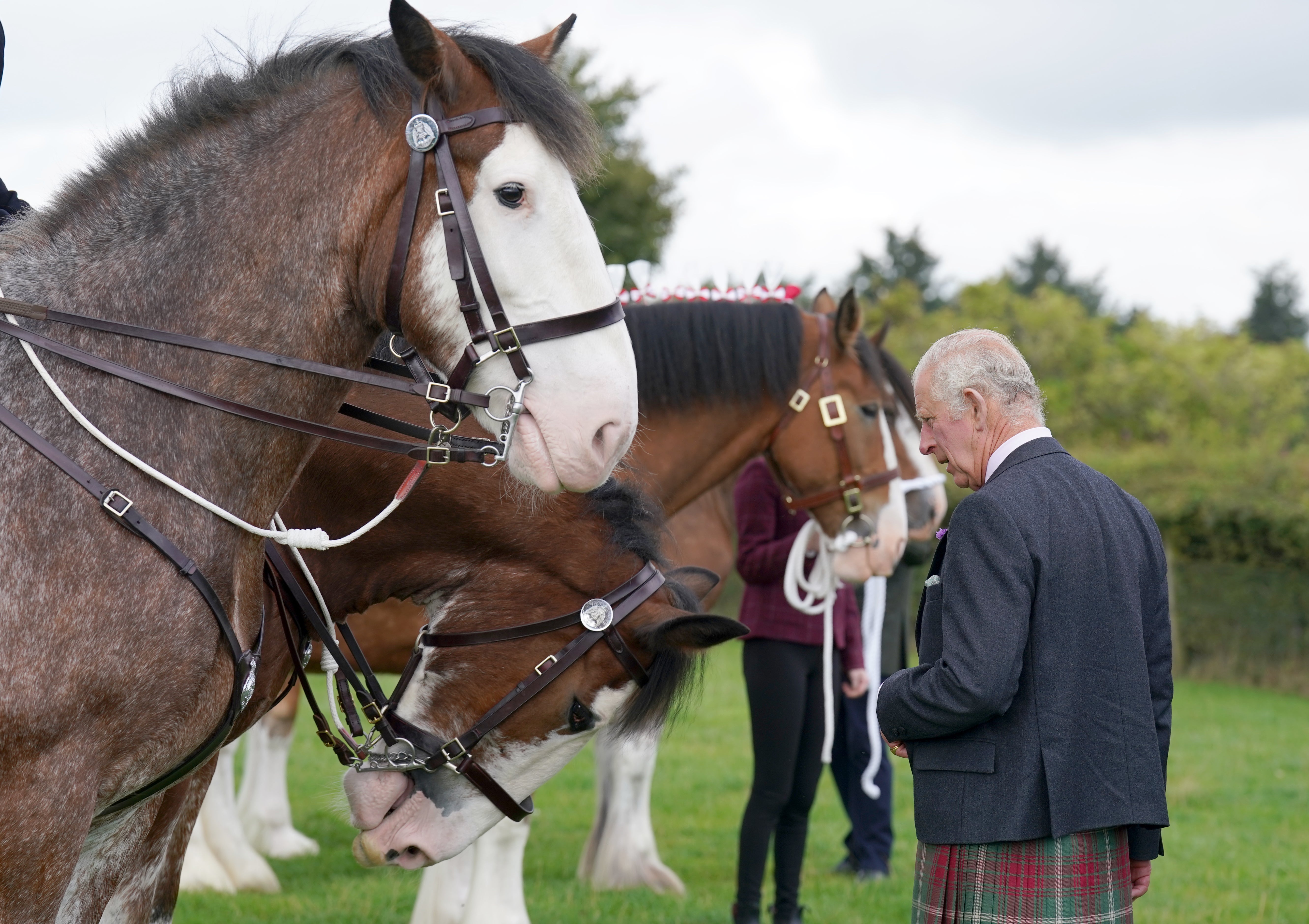 The Prince of Wales stroked some of the Clydesdale horses before enjoying a carriage ride (Andrew Milligan/PA)