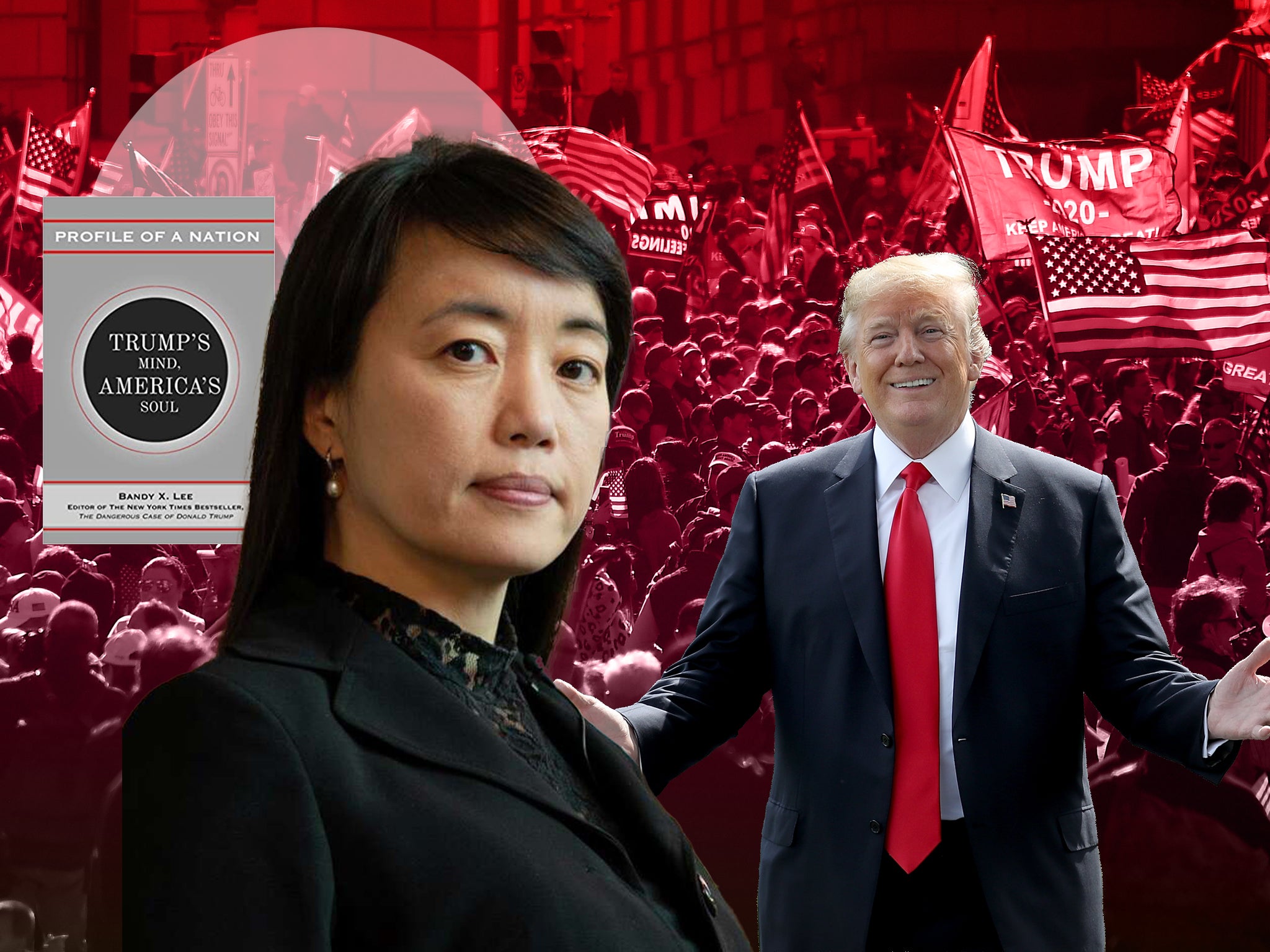 Dr Bandy Lee published The Dangerous Case of Donald Trump in 2017