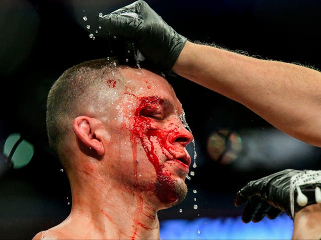 <p>UFC fan favourite Nate Diaz faces Khamzat Chimaev in a main-event bout</p>