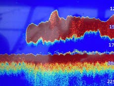 Ocean scanner registers 50-foot ‘Megalodon’ shape in Atlantic