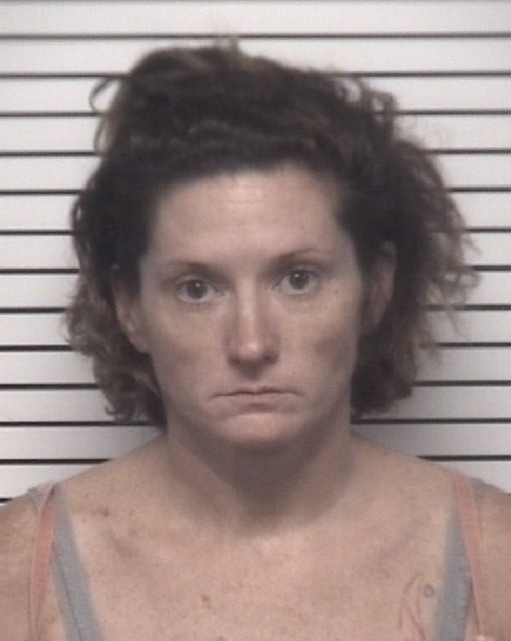 Elizabeth Suzanne Bailey is seen in her mugshot